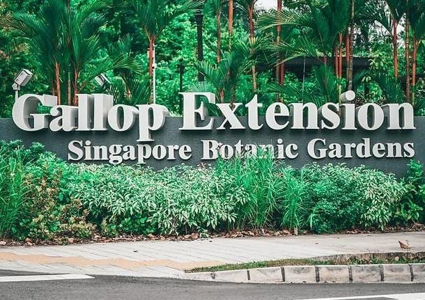 Singapore Botanic Gardens Gallop Extension